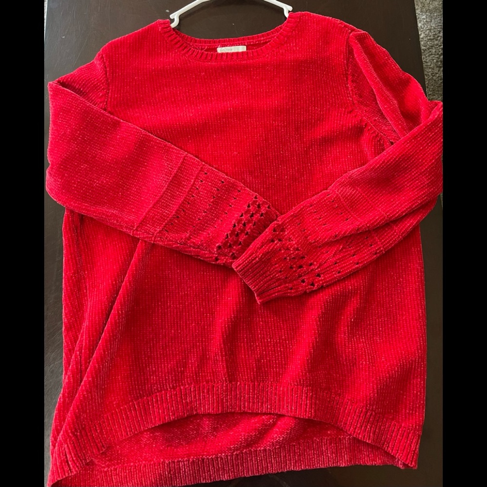 Red Sweater